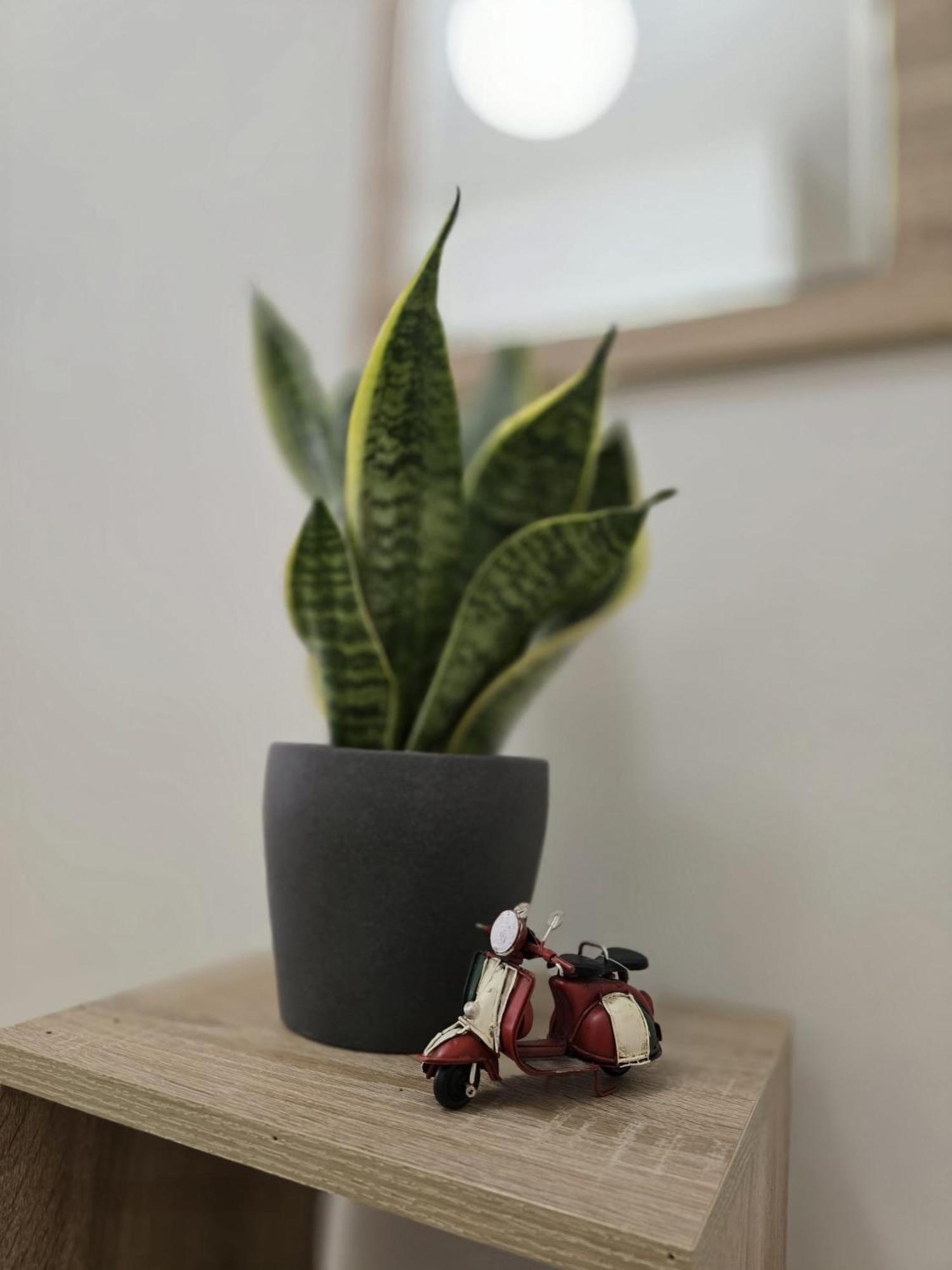 Aureum Loft Lägenhet Rom Exteriör bild
